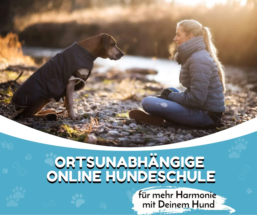 Online Hundeschule hundetraining.me &ndash; Conny Sporrer