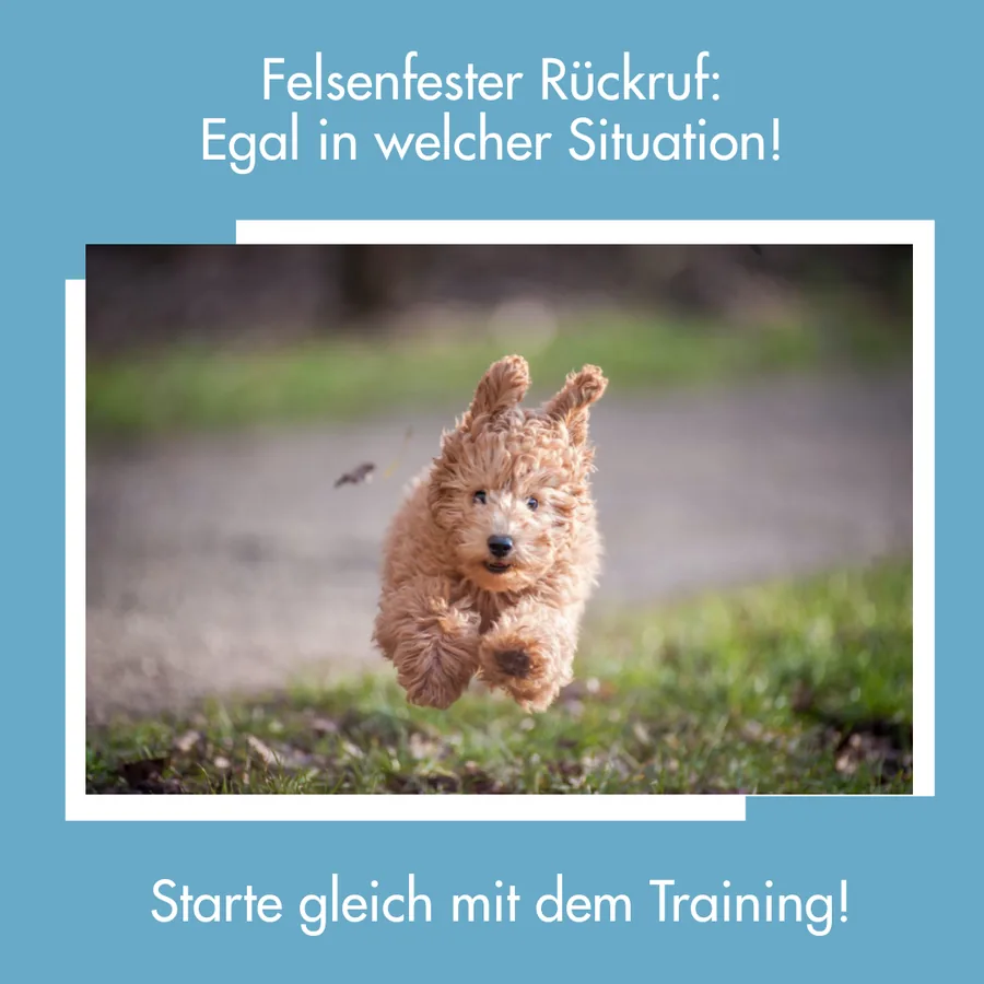 R&uuml;ckruf-Kurs