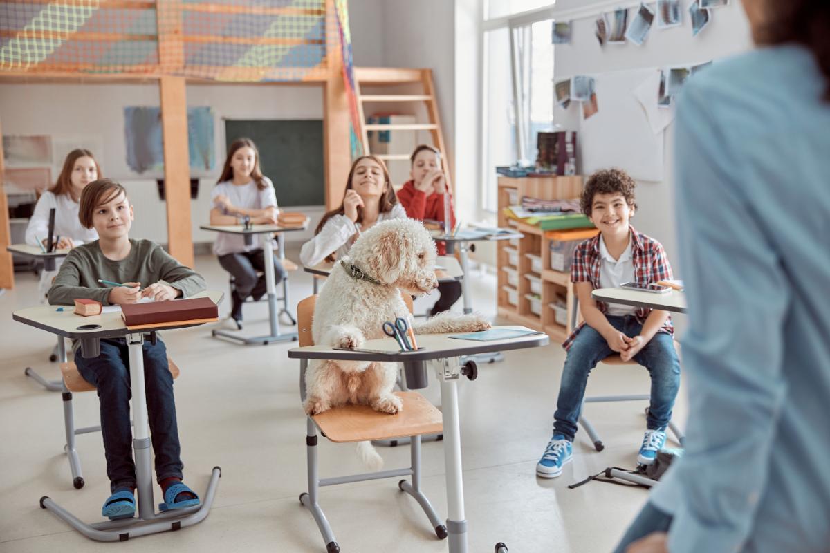 Hund sitzt in Schulklasse